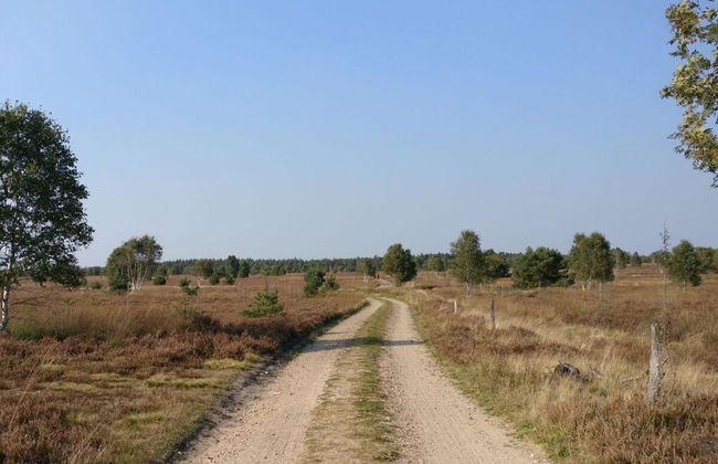 Ahlers Holiday Apartment - Foto 13