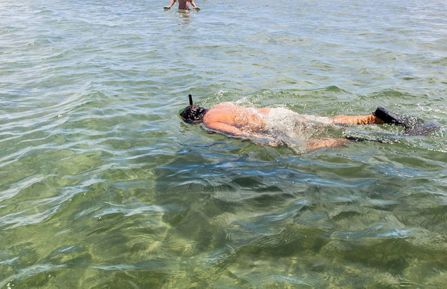 Excursion au parc marin de Coroa Alta - Photo 1