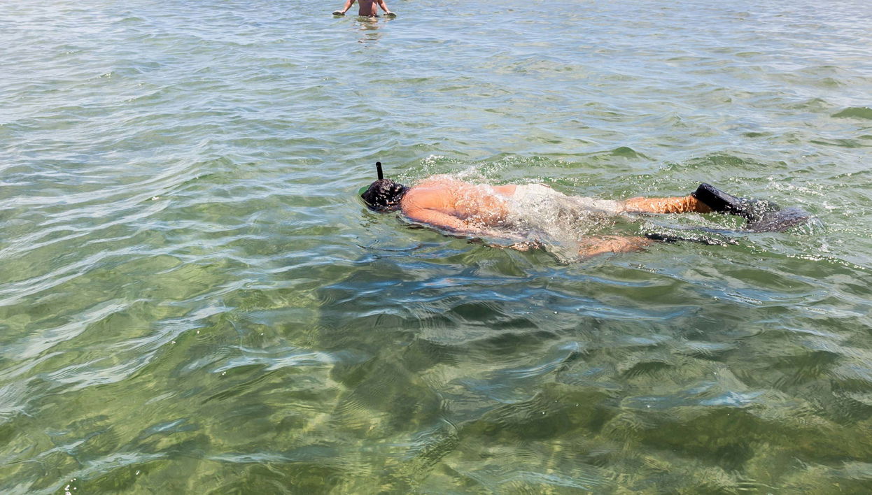 Coroa Alta Marine Park Day Trip - Foto 1