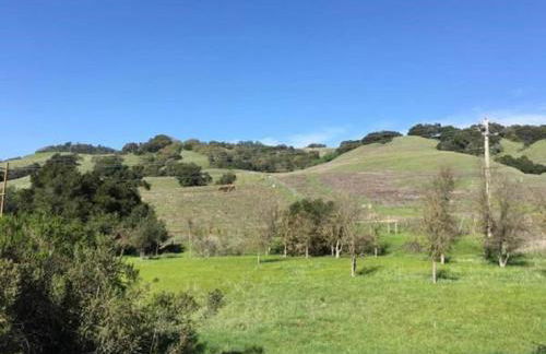 Amitabha Wine Country Cottage - Foto 13