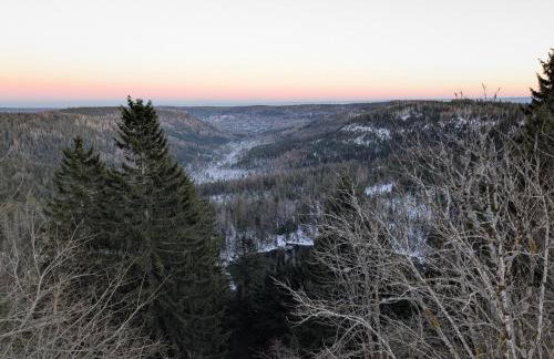 Badischer Neubau-Ruhe-Kunst-Natur - Foto 26