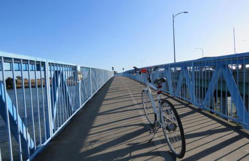 Garden Level Flat in 1885 Queen Anne Victorian Cottage in Alameda - Foto 52