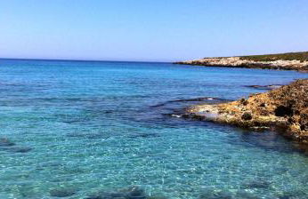 Buena Vista - Country Villa - Free Wifi, Outdoor Shower - Foto 17