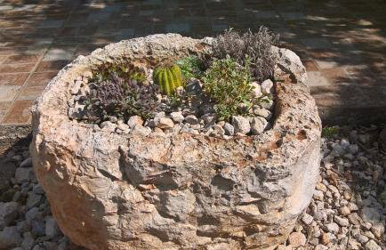 Apartments Krušvina - Foto 49