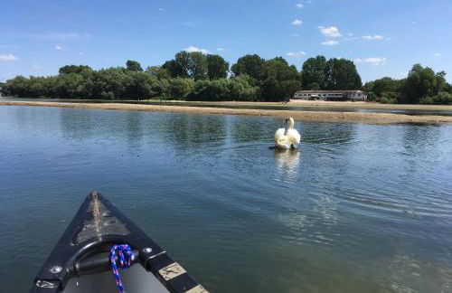 Ferienwohnungen In de goldisch Luft - Foto 50