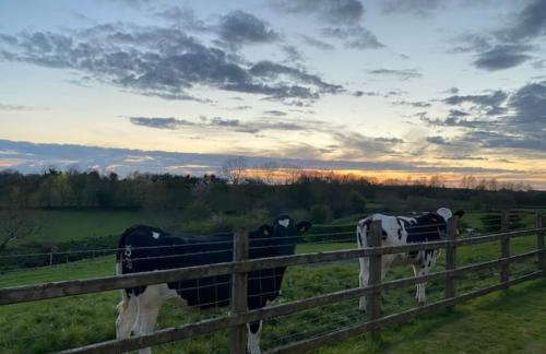 Mill House Studio Apartment - Foto 23