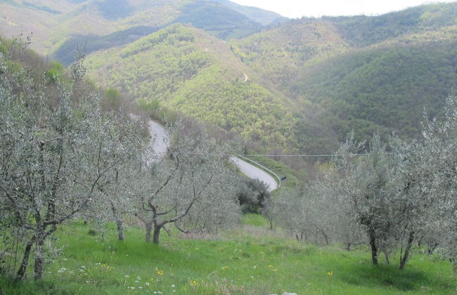 RSH Luxury Casale Sabina Valley - Foto 21