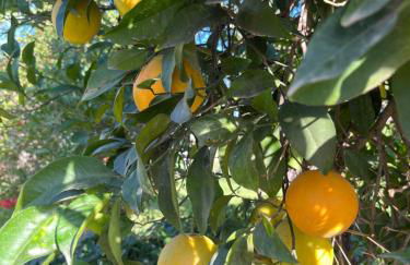 Milenium Palace - Garaje incluido - Piscina-FIBES - Foto 17