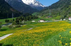 Appartamenti Presanella - Foto 18