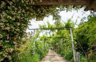 Casa da Torre, Porto Manso - Foto 58