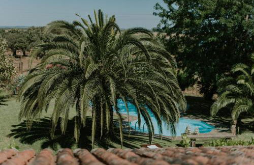 Monte Do Caneiro - Foto 7