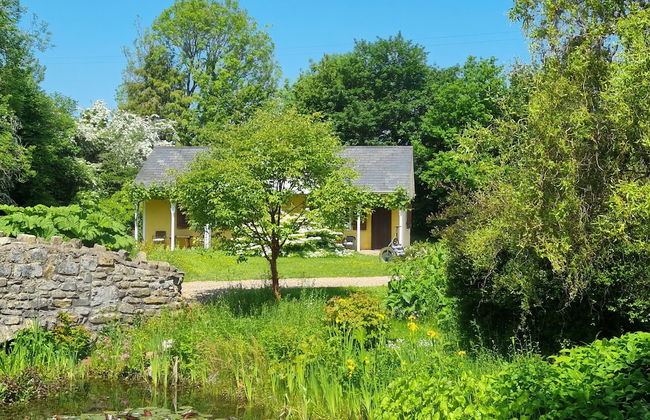 Glyndwr Vineyard - Foto 38