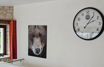 Casa dell’ Orso - Photo 10