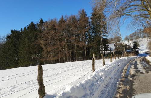 FeWo Harling - Waldoase - Foto 33