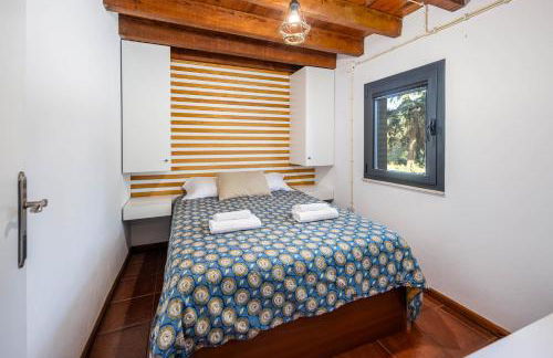 Quintinha do Varoso - Little Red Cottage House - Foto 10