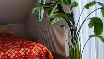 Apartment Zum Wohlfühlen - Foto 2