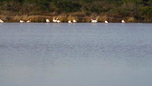 Vista Baia Blu - Photo 3