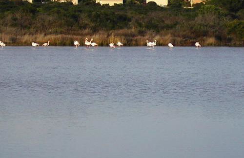 Vista Baia Blu - Photo 3