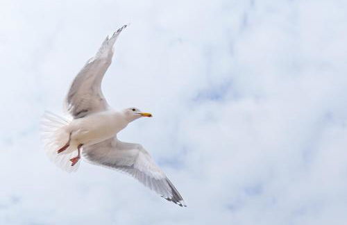 Ferienwohnung Kleine Auszeit - Foto 22