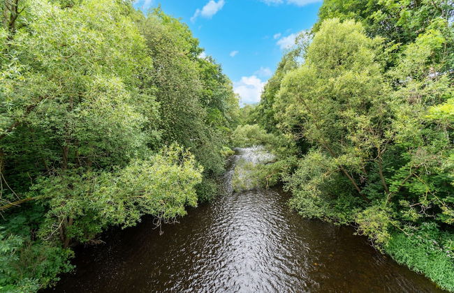 Apartment in Thale by Fishing River - Foto 31