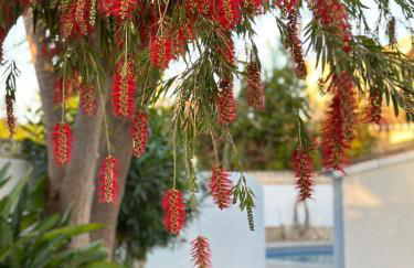 La Duna de Denia - Foto 58