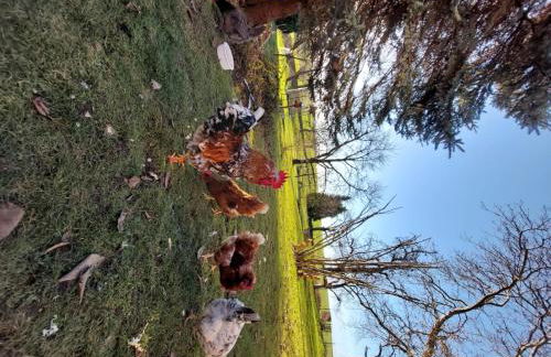 NEU! Ferienwohnung Böhlitz Neun - Foto 15