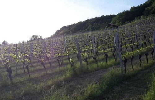 Nostalgie erleben im historischen Turmwächterhaus - Foto 22