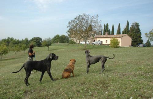 Agriturismo Monterosello - Photo 25