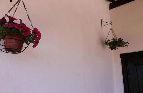 Molino Alto de Murchas - Foto 21