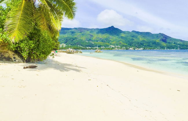 Mouggae Blues Villas - Photo 38