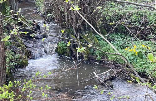 Ferienwohnung Osterquelle - Foto 31