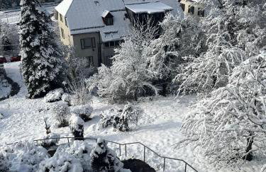 EMI2 Modern Apartment Free Parking Near Swiss Border - Foto 40