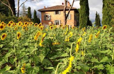 Villa with pool in Montepulciano - Foto 17