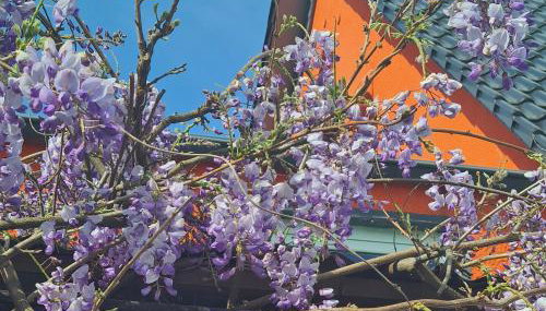 Ferienwohnung Rimbach - Foto 3