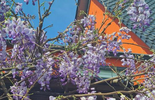 Ferienwohnung Rimbach - Foto 3