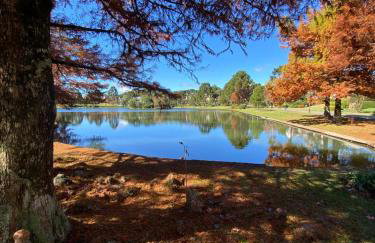 Fantástico Studio Royal Laje de Pedra MV (3022) - Foto 7