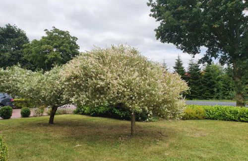 Exklusives Ferienhaus "An der Nordsee" - Foto 33