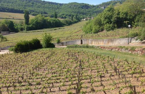 Au Pied des Vignes - Maison au Coeur du Vignoble - Foto 15