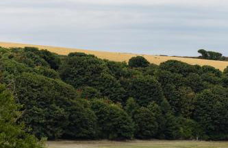 2 Chatsworth Riverscape Apartments - Peaceful apartment in great location with free parking overlooking the Gannel just a short walk from Newquays incredible beaches and local amenities - Foto 19