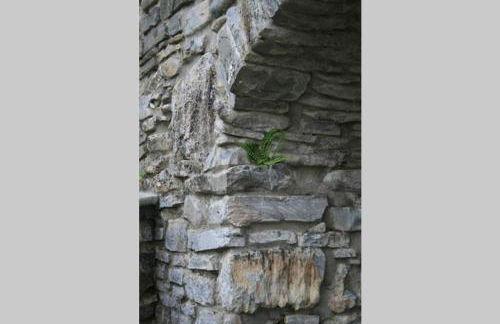 Casale delle farfalle - Foto 26