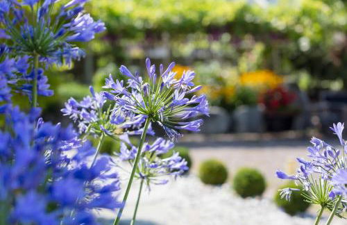 Ferienwohnungen St Hippolyt mit Hallenbad - Foto 66