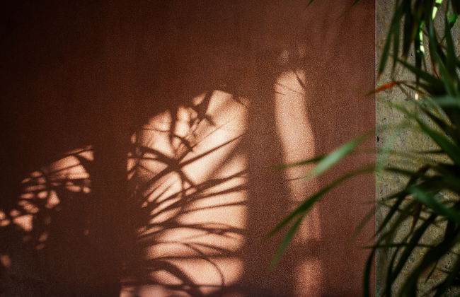 Shanghai T Plus Hotel Residence - Foto 5