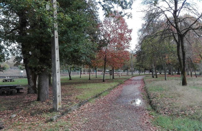 Casa Das Pias - Photo 25