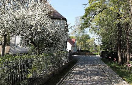 Hotel Reiterhof-Altmühlsee - Foto 45