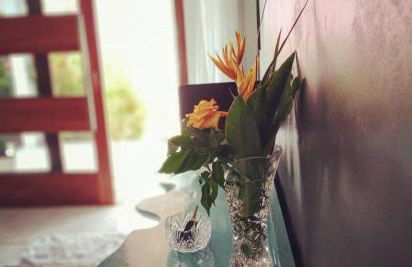 Casa do Sertão - Foto 4