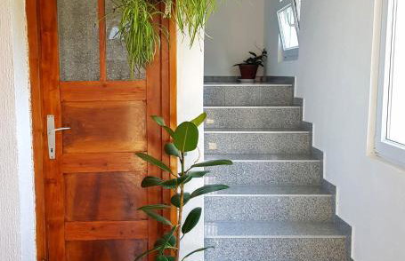 Apartman Lukić - Foto 30