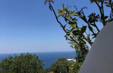 Vlami's House Andros - Foto 10