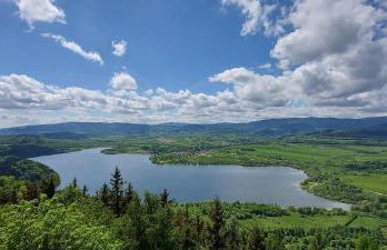 Topolowa Miszkowice - Foto 8