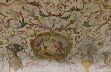Appartement des Barons - Palais Ansermin - Dimora storica - Foto 7