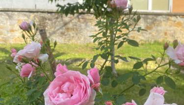 Casa Vacanza Alle Pratoline covered parking for bicycles and motorcycles - Foto 2, Garden